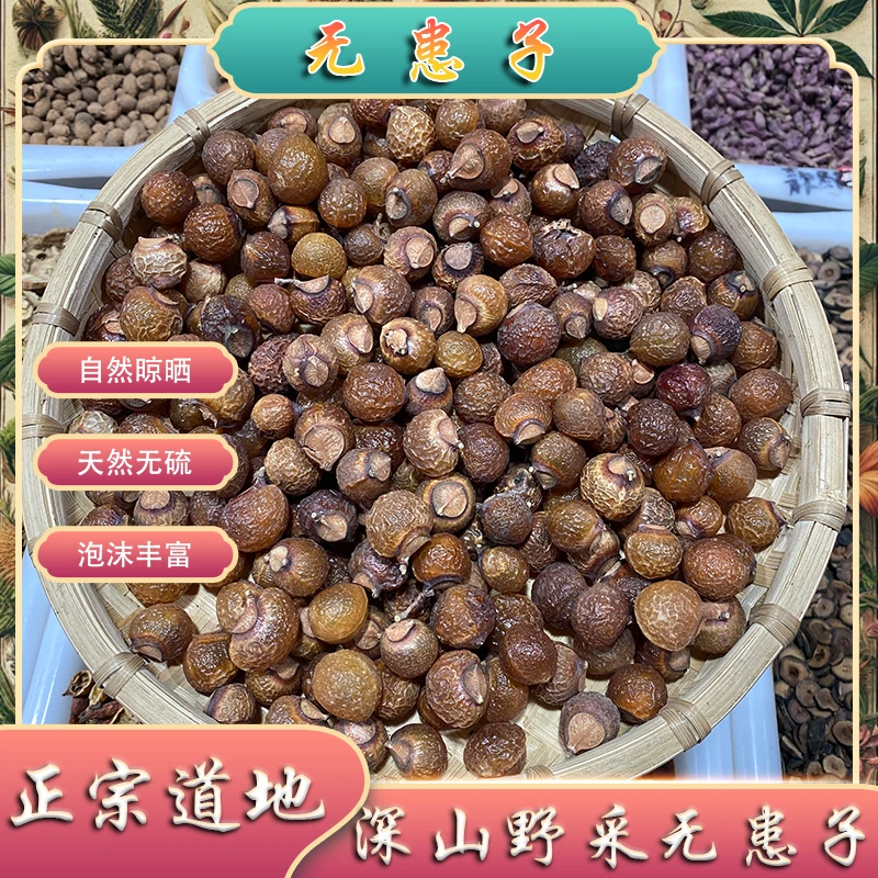无患子中药材无患子果无患子洗发整颗另售侧柏叶皂角干无患子果实