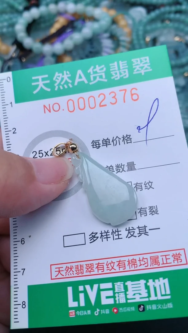 翡翠未镶嵌颈饰.0002376