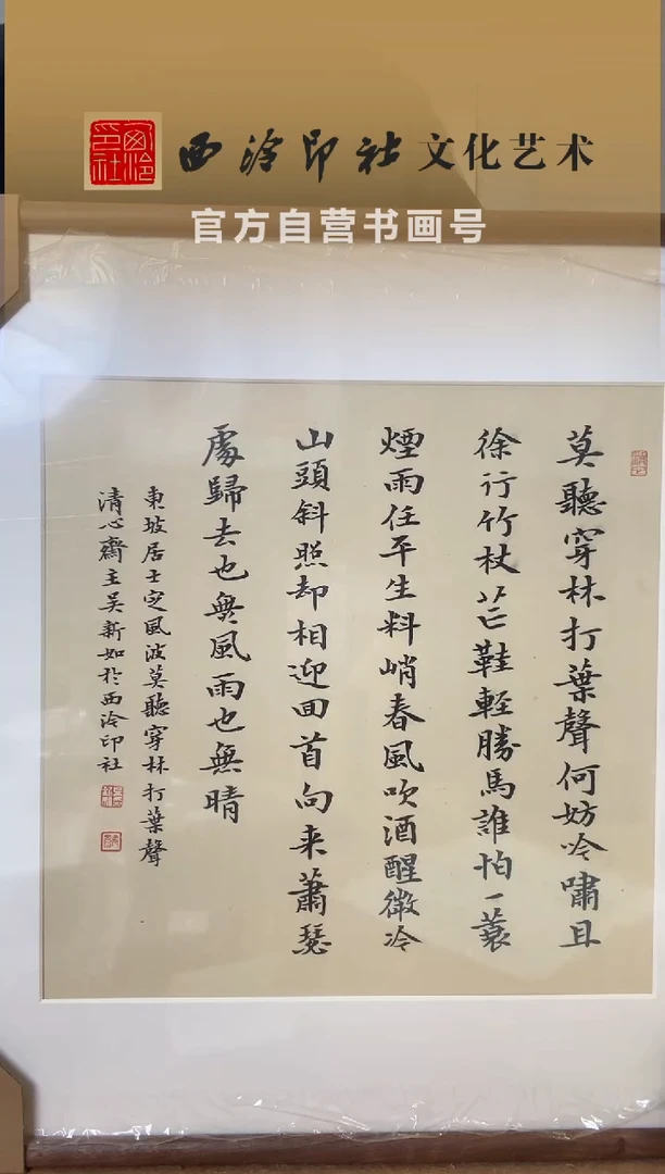 书法长****安吴老师 小楷定风波镜框