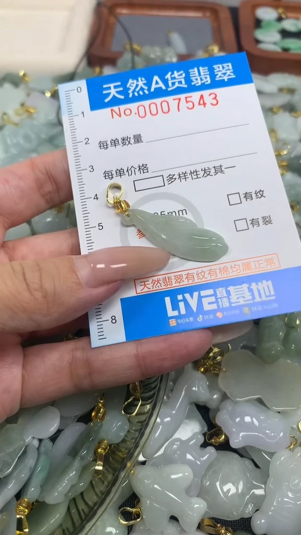 翡翠未镶嵌颈饰净货挂件-7543