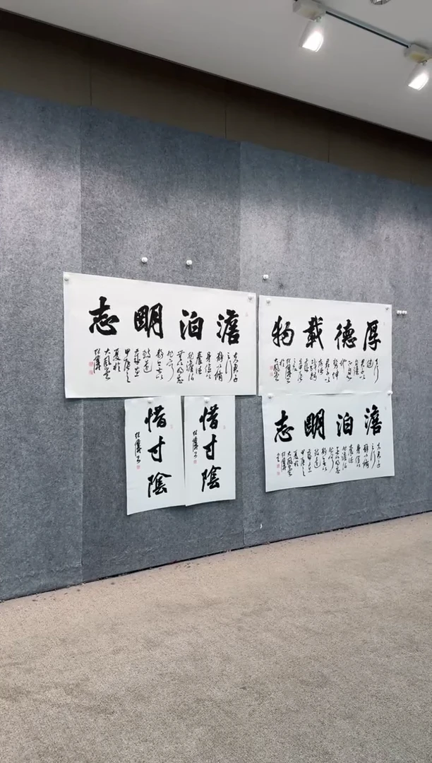 【闪购商品】书法pmw不二轩旗舰店书法JW2