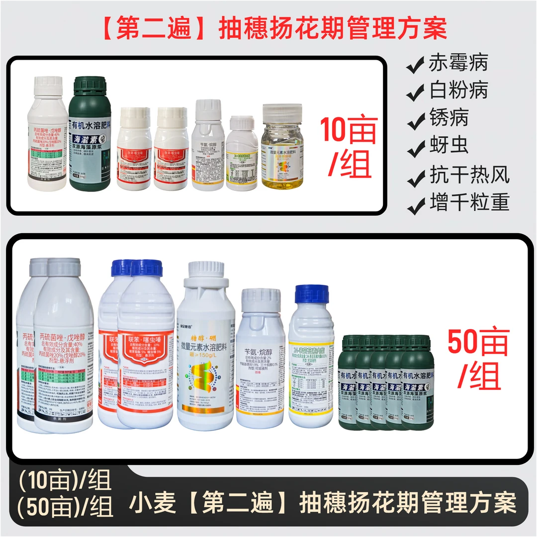 小麦【第二遍】抽穗扬花期增产方案 一喷三防 蚜虫赤霉病锈病白粉病