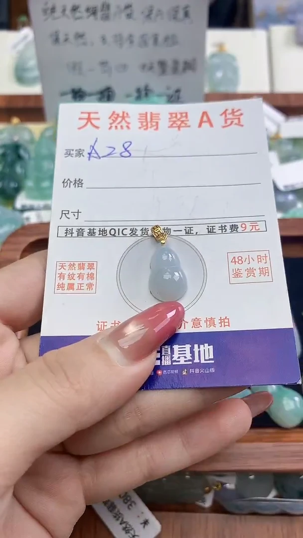 颈饰未镶嵌翡翠天然A货翡翠挂件