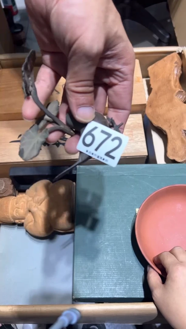 瓷片情**生672....