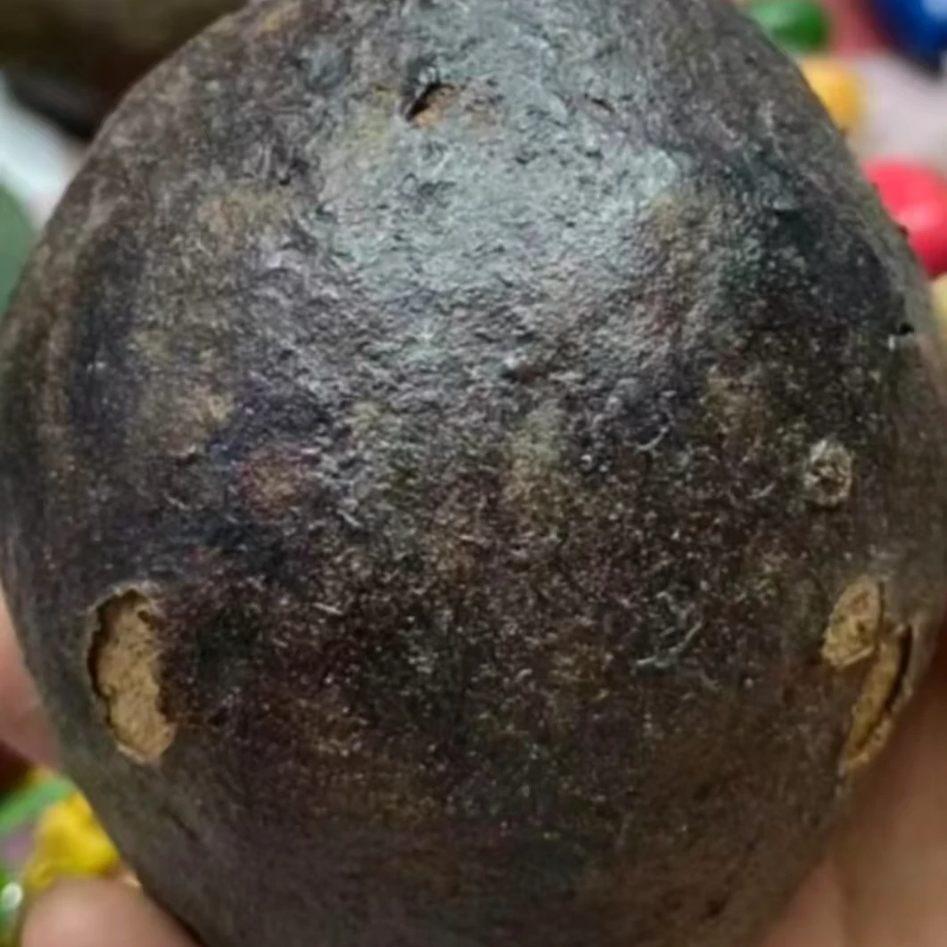 老树风化果王拍一发二 金灯果佛心果精美毛衣坠手把件车挂时尚