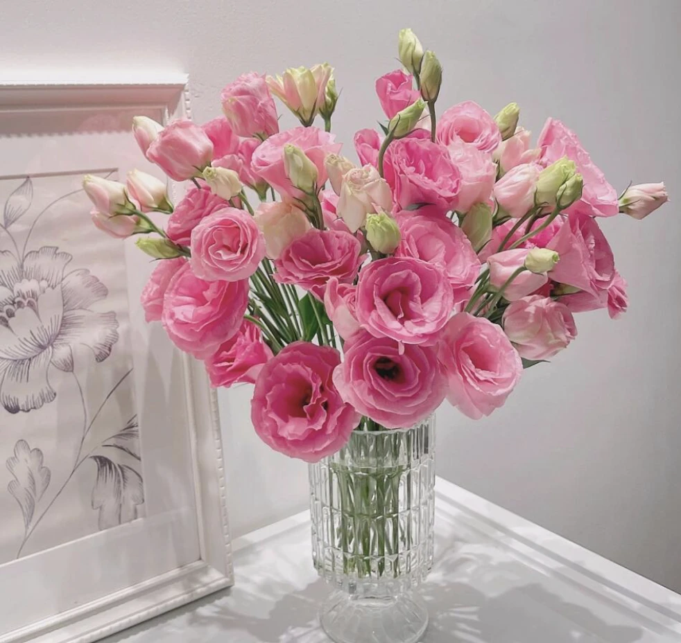 【大聪明卖花】粉色洋桔梗云南直发鲜花客厅高级感插花鲜花鲜切花
