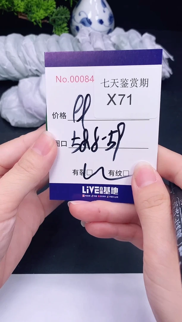 未镶嵌手镯翡翠71