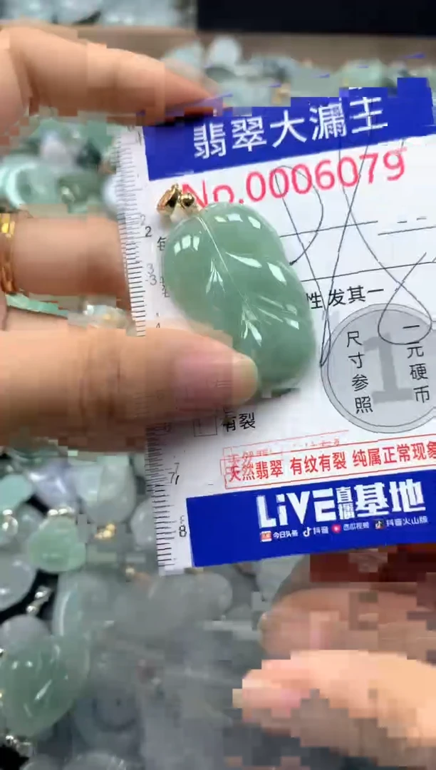 翡翠未镶嵌吊坠(不含链)6079