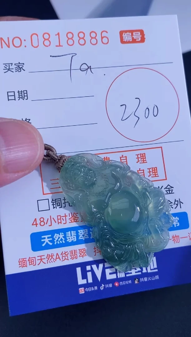 翡翠未镶嵌颈饰T****宗宗
