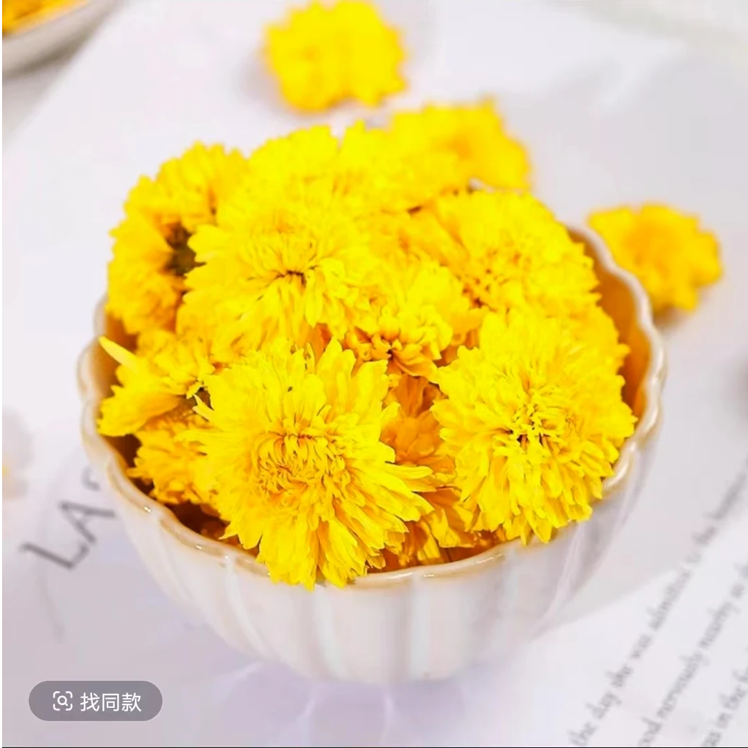 【婺源皇菊】2025新菊花