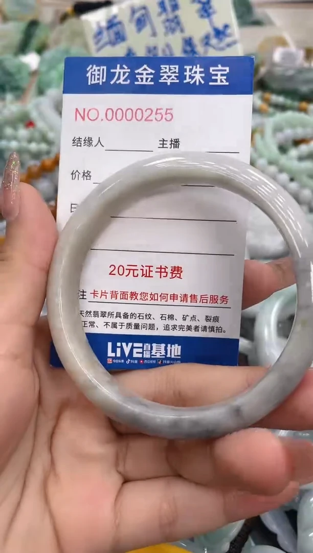 颈饰未镶嵌翡翠向**生038