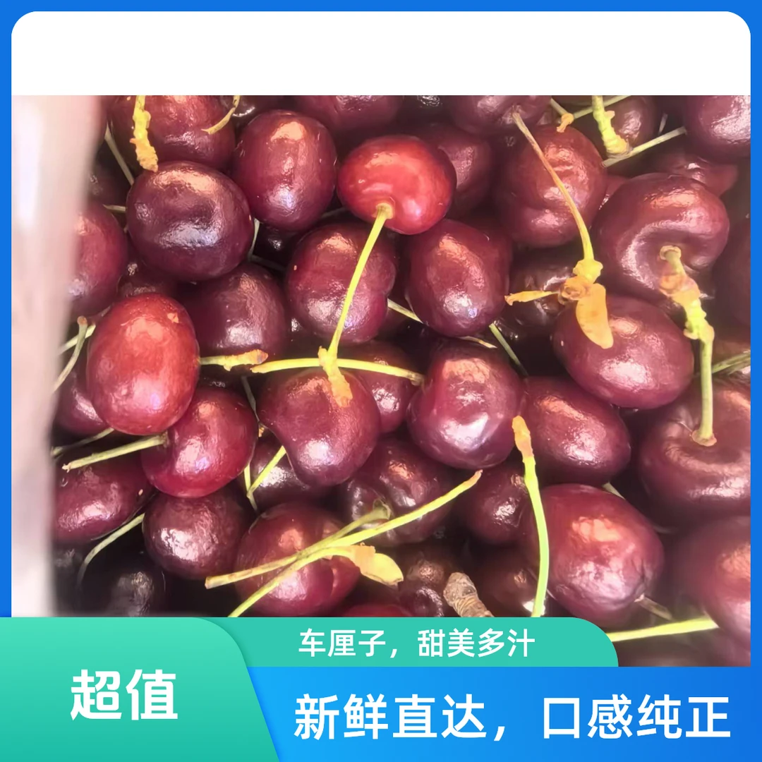 悦果先生单JD车厘子1000G起