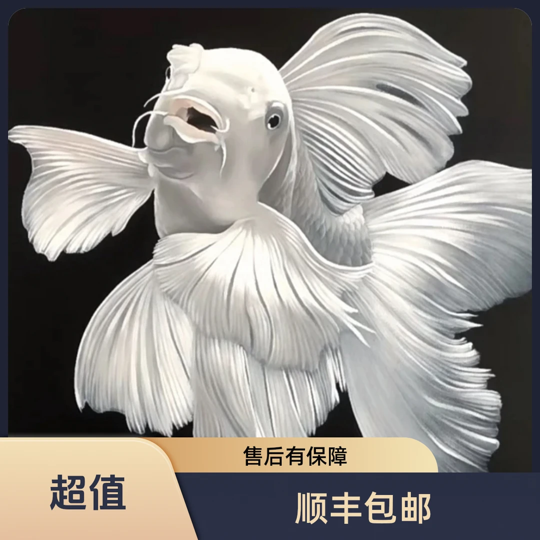 四海蝴蝶鲤直播间一物一拍专属链接