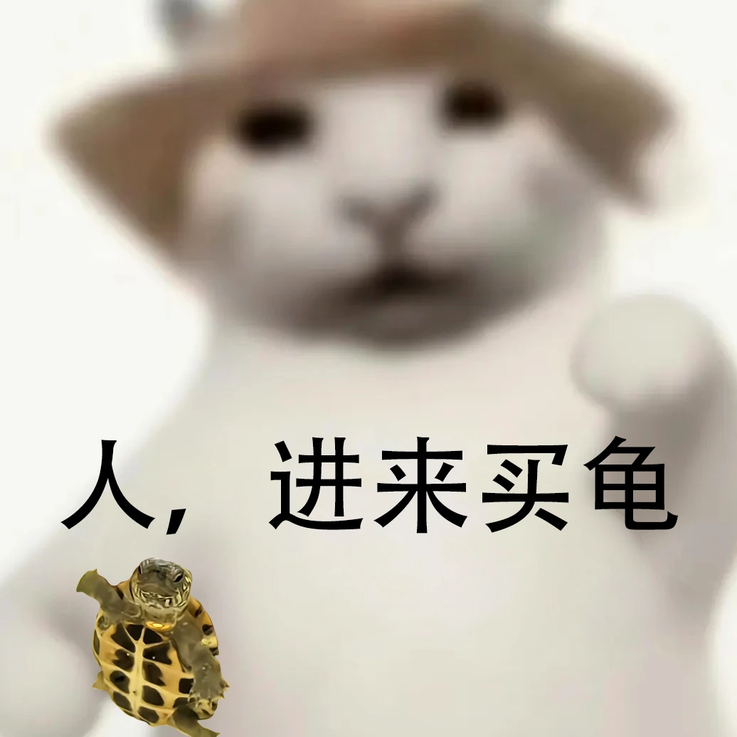 龟次元直播间选龟链接，请勿私拍，私拍一律发龟料