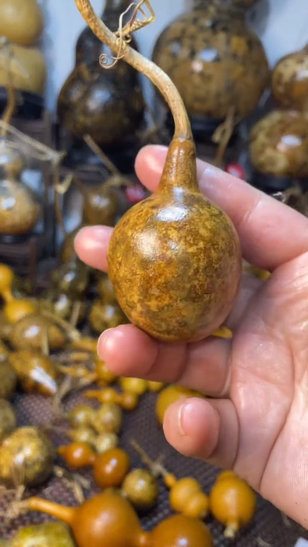 【闪购商品】葫芦葫芦葫芦葫芦葫芦