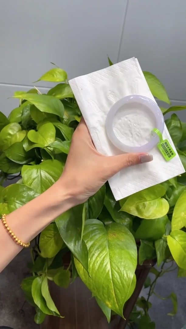 未镶嵌手镯翡翠000072483