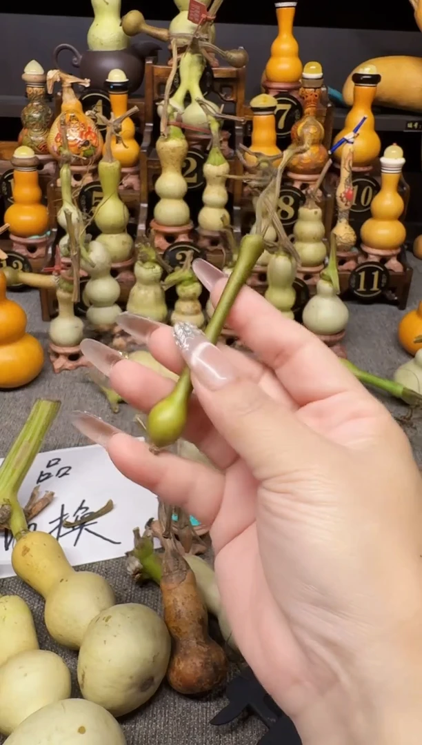 H高端葫芦高端客户