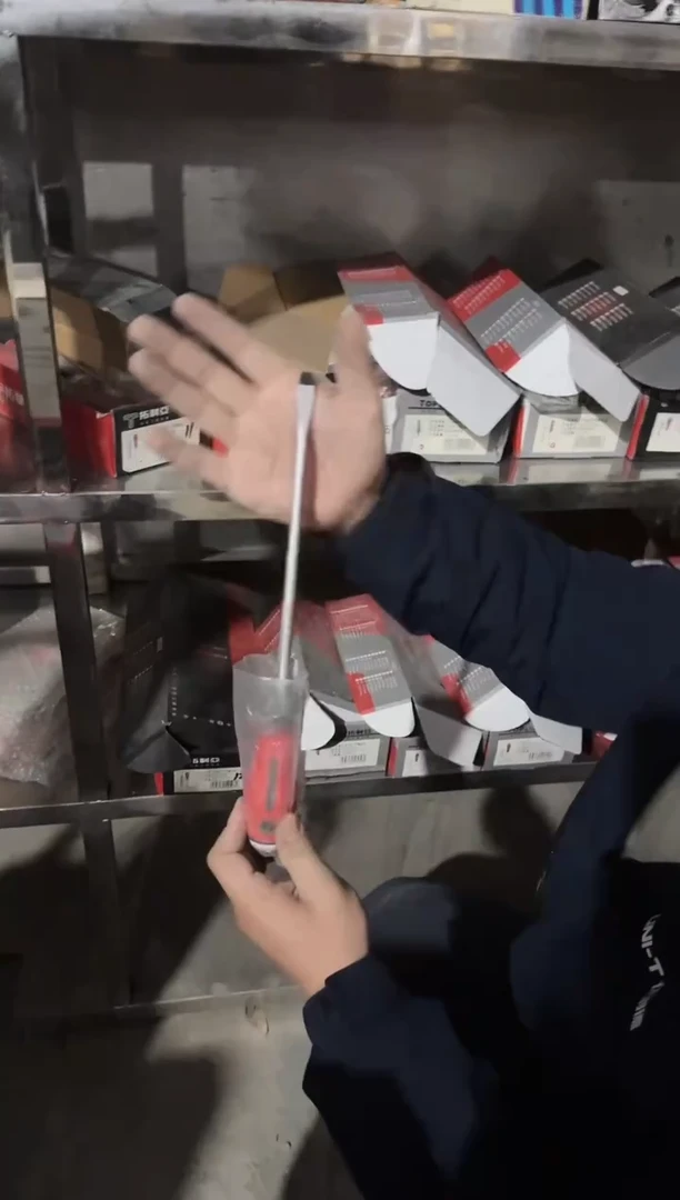 拓利亚SD08C053（一）8.0*200旋转螺丝刀