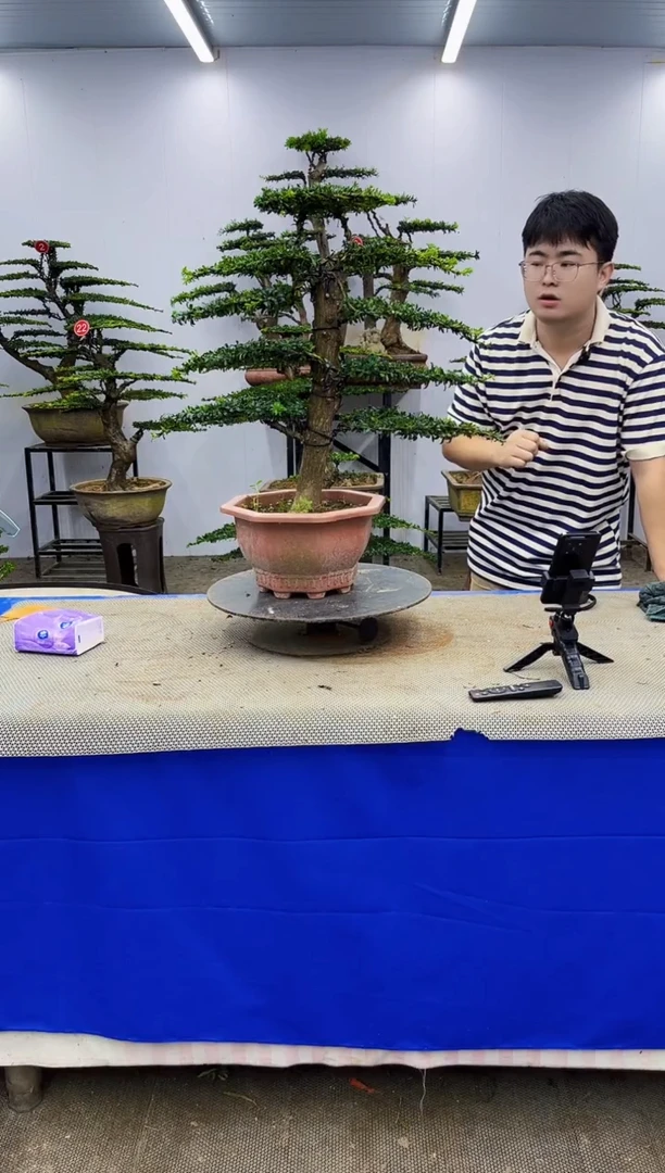 无花朵一物一拍，所见即所得