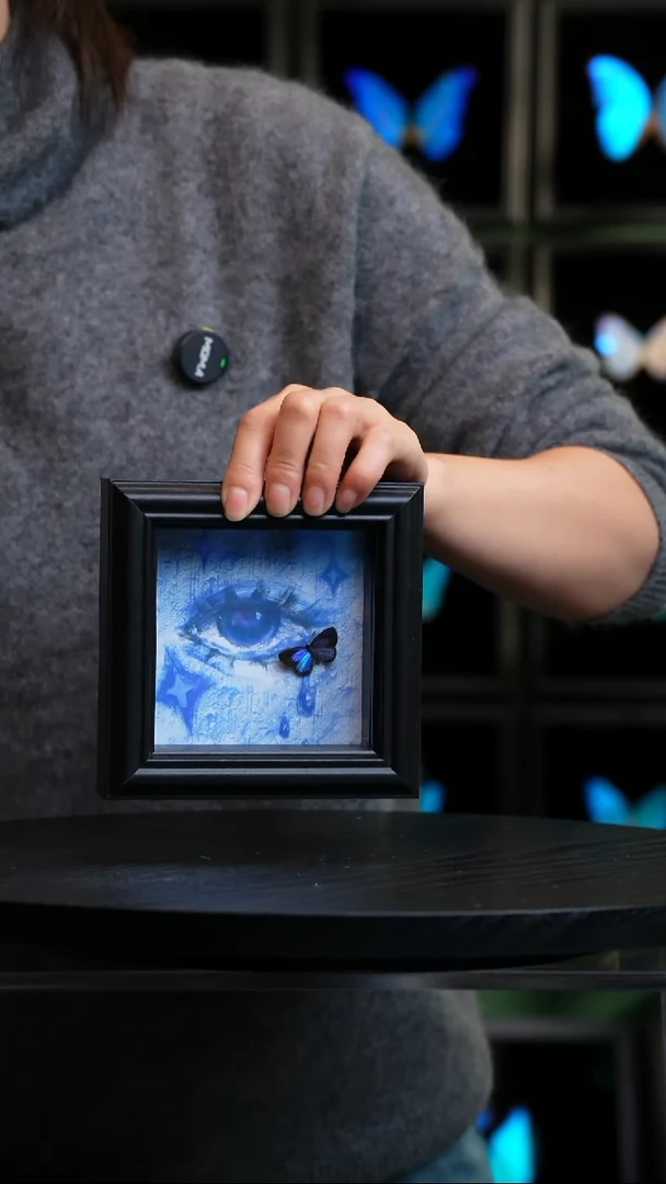 雅灰蝶蓝眼泪4寸方框