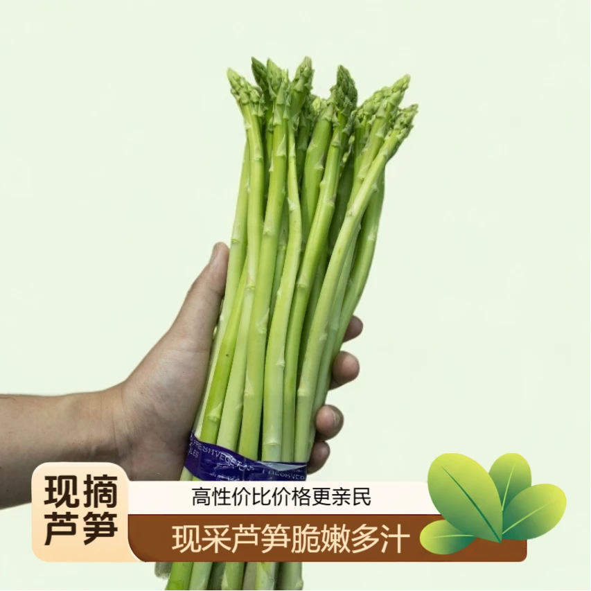 通州明星农产品现采现发新鲜芦笋脆嫩多汁