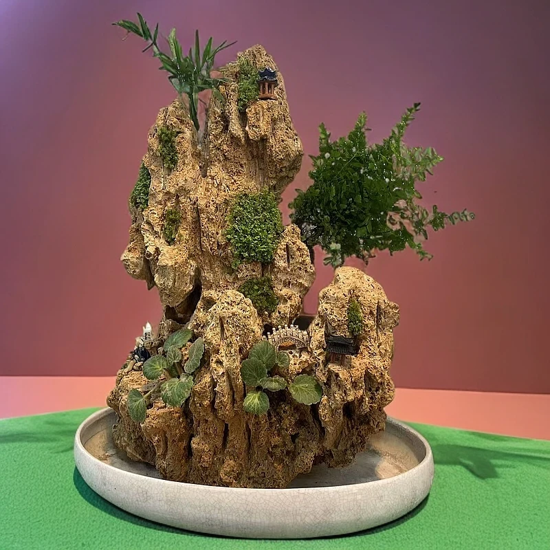 吸水石直播链接 点开对应金额下单