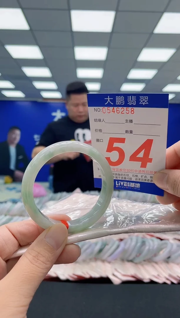 未镶嵌手镯翡翠AAAAAAAAA