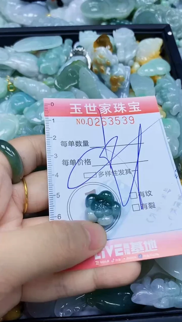 翡翠未镶嵌颈饰闪购0263539多样性发其一