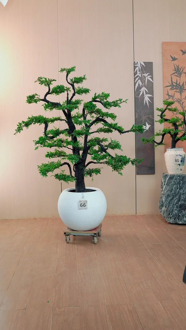 无花朵【闪购链接】66号链接