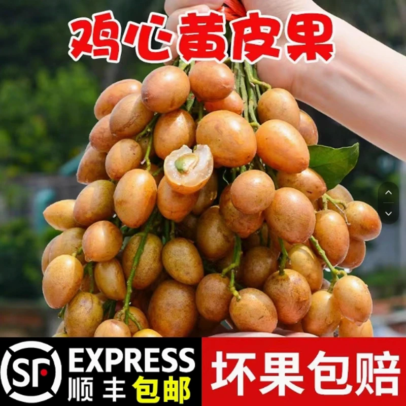【顺丰】新鲜鸡心黄皮果当季新鲜采摘酸甜多汁孕妇水果黄皮水果