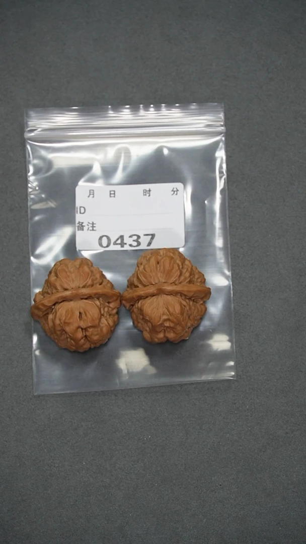 【闪购商品】文玩核桃把件40蛤蟆头