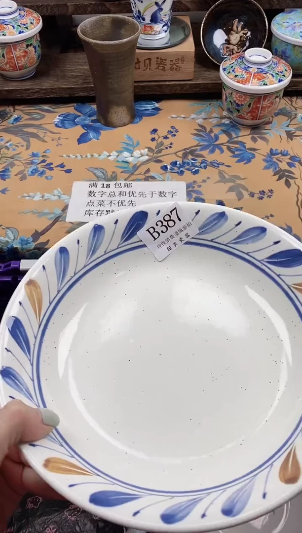 瓷片大****肉                B387