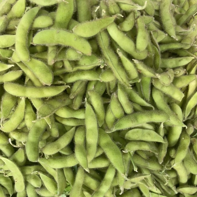 邳州本地 新鲜毛豆