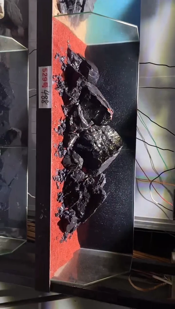 529号鱼缸造景（不含底砂）