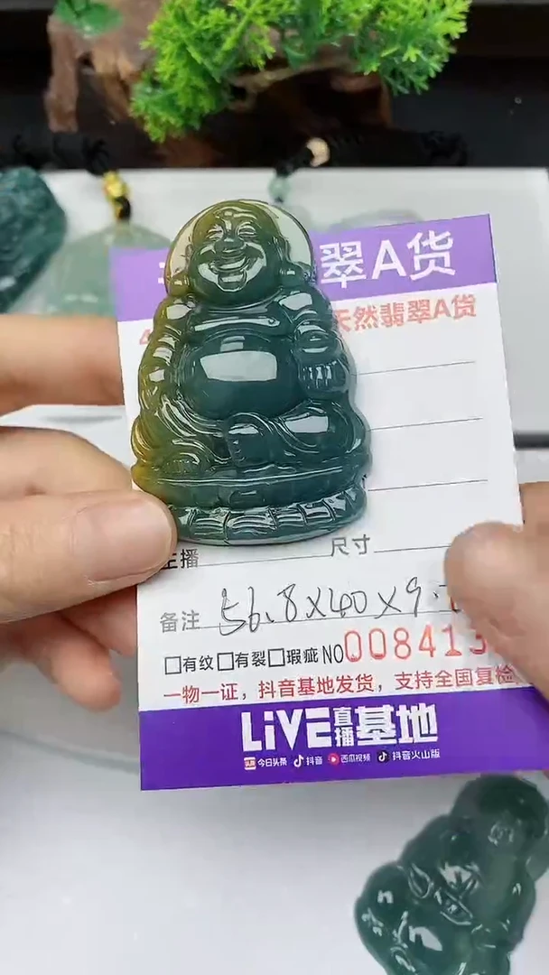 【闪购商品】翡翠颈饰未镶嵌