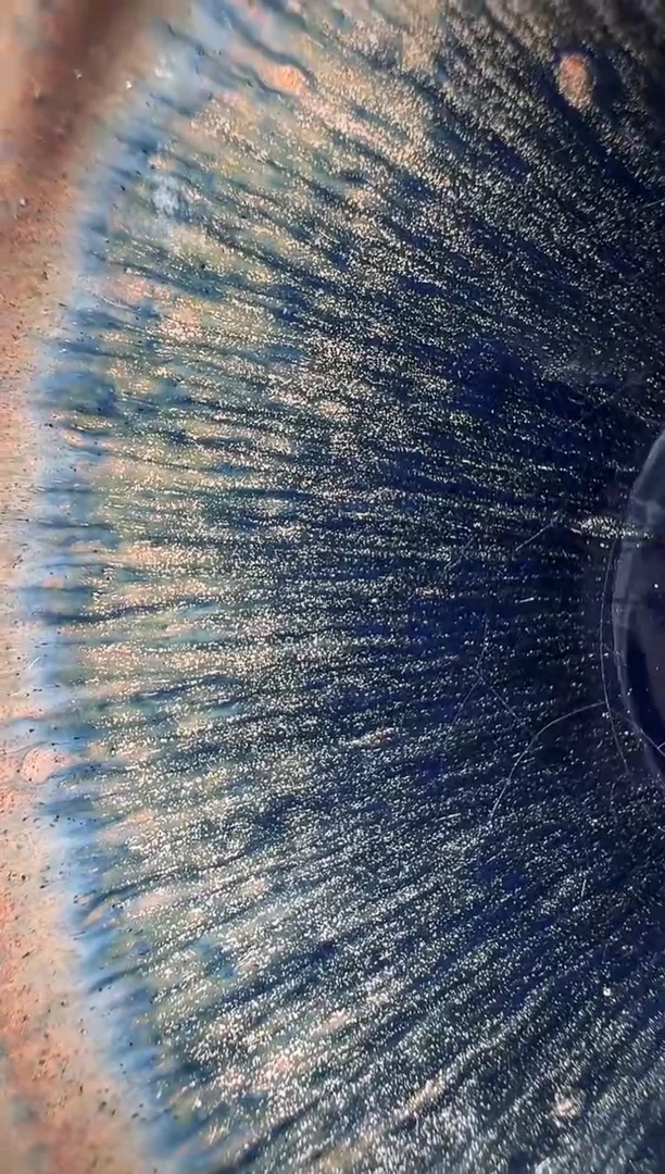 茶盏老表精选柴烧19