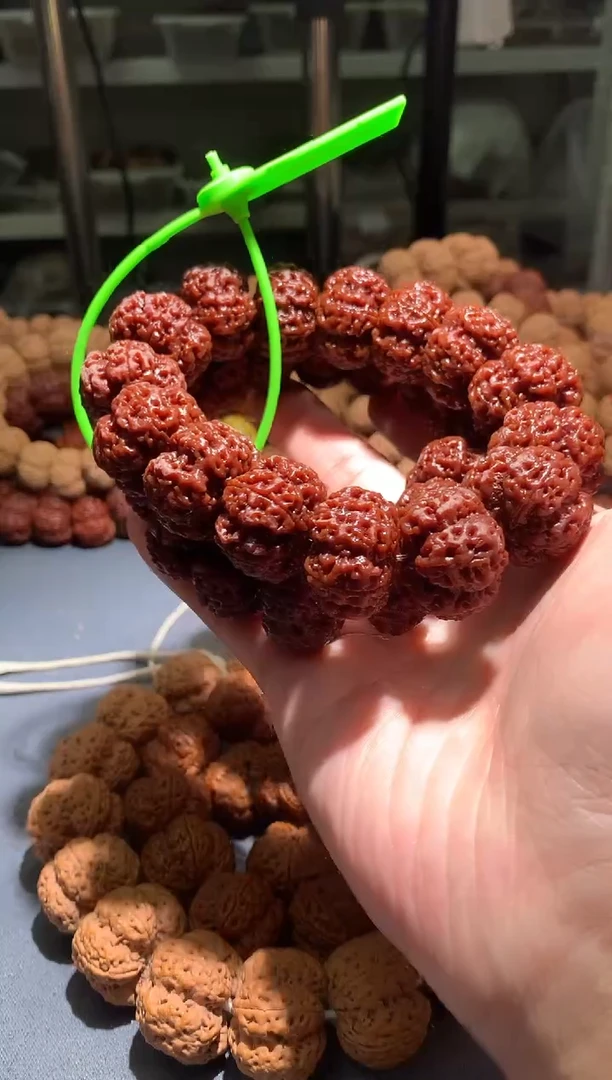 金刚菩提手串303一条