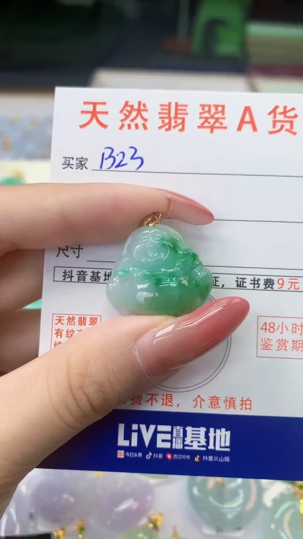 颈饰银S925镶嵌翡翠天然A货翡翠挂件