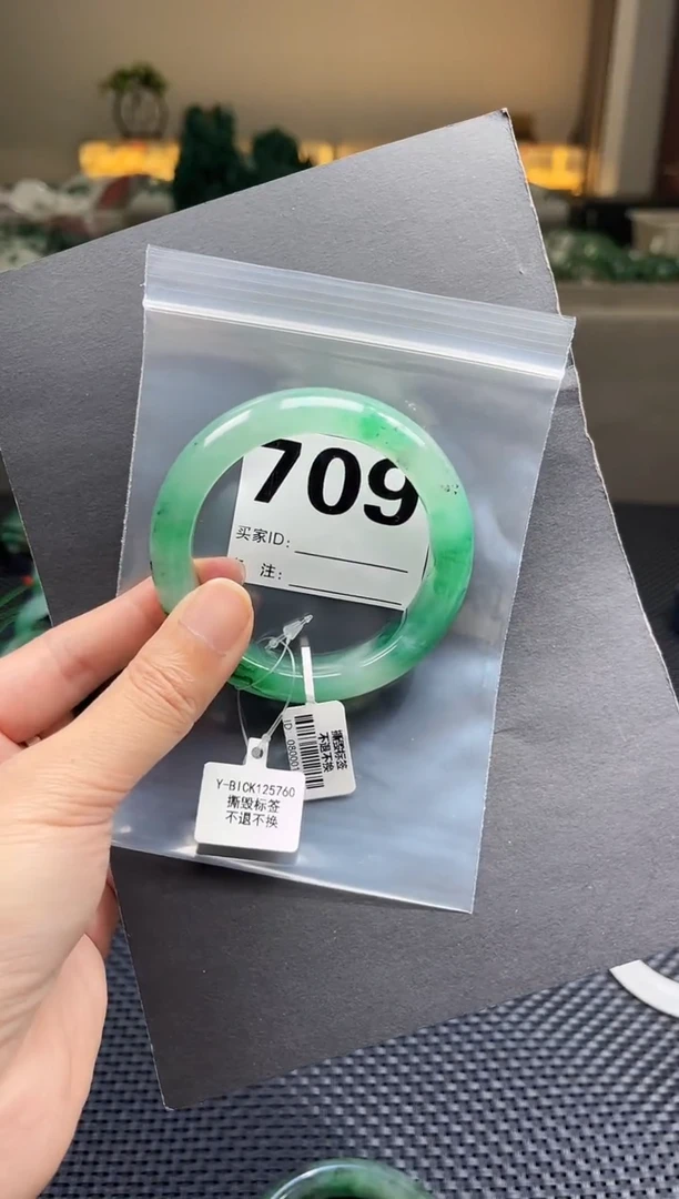 未镶嵌手镯石英质玉（非洲翠）58圈口709