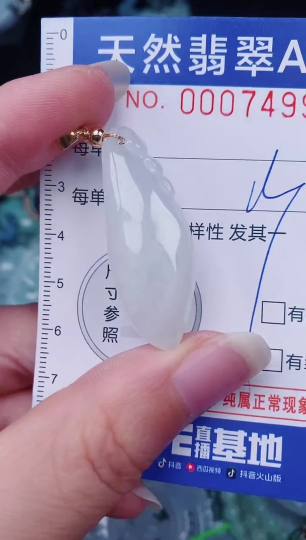 颈饰未镶嵌翡翠00007499