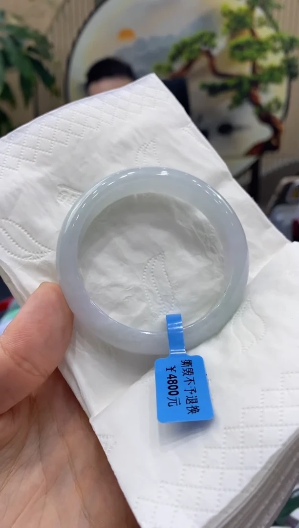 未镶嵌手镯翡翠绿***足5583