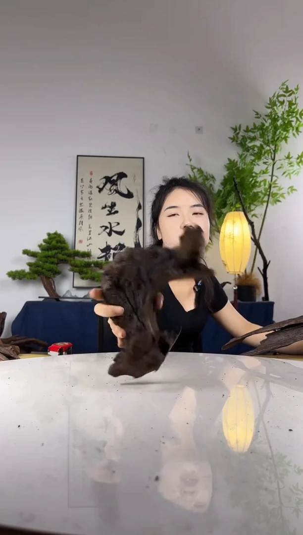 叁*拍这个定向编号78