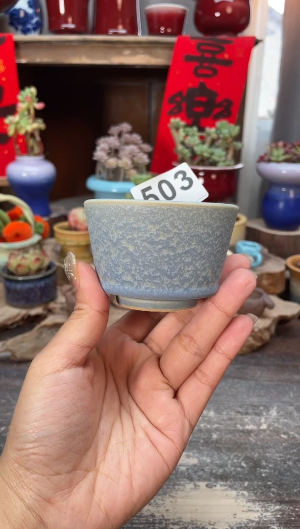 【闪购商品】摆件503知木小芳花盆