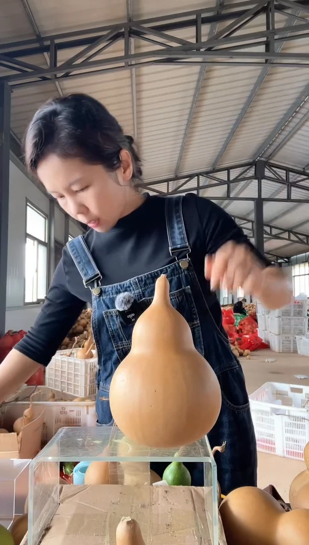 无花朵602天然葫芦摆件 一物一拍龙头不保售后