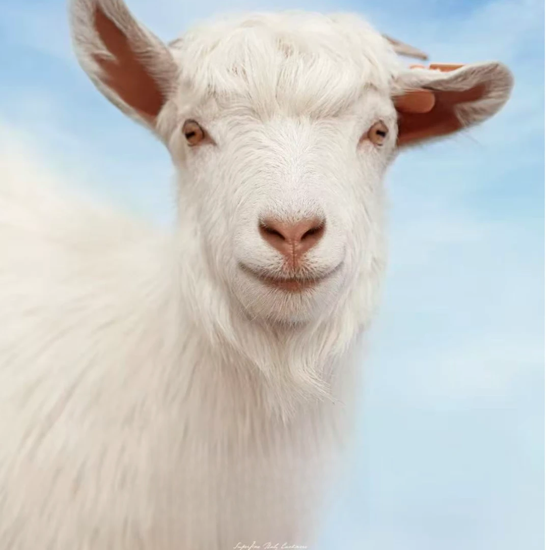 【双十二盲盒厚款福利】100%山羊绒拉绒秋冬新款百搭宠粉福利