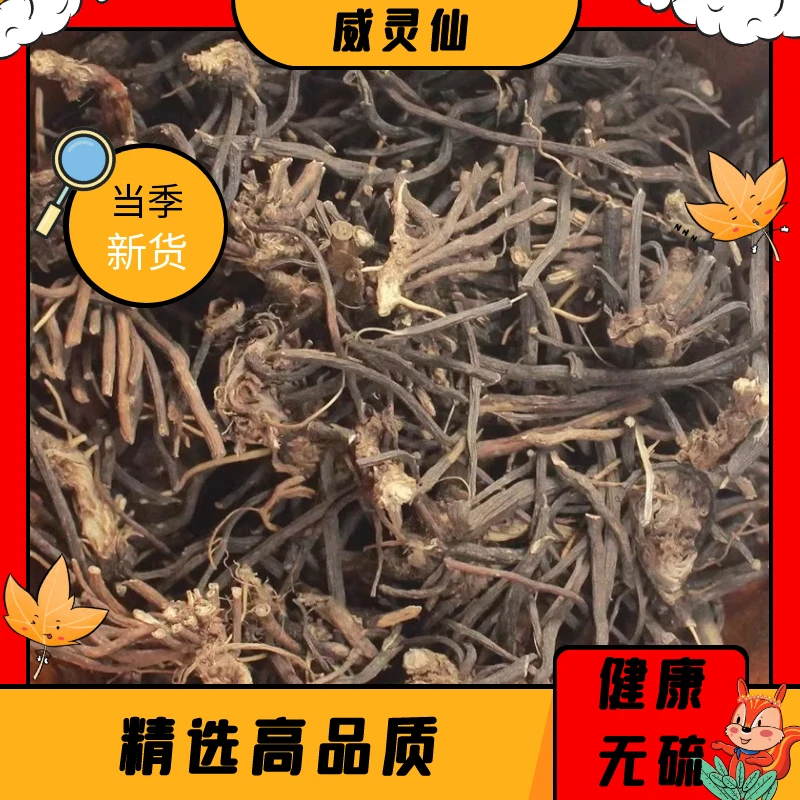 野生威灵仙新鲜威灵仙整株200g老虎须铁扫威灵仙全草减脂中药材