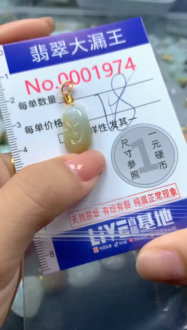 颈饰未镶嵌翡翠1974