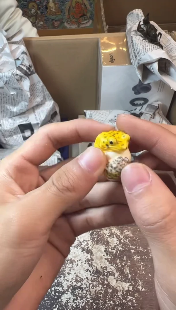 工艺赏玩器物茶宠摆件把件卡单拉黑部分非全新品介意勿拍