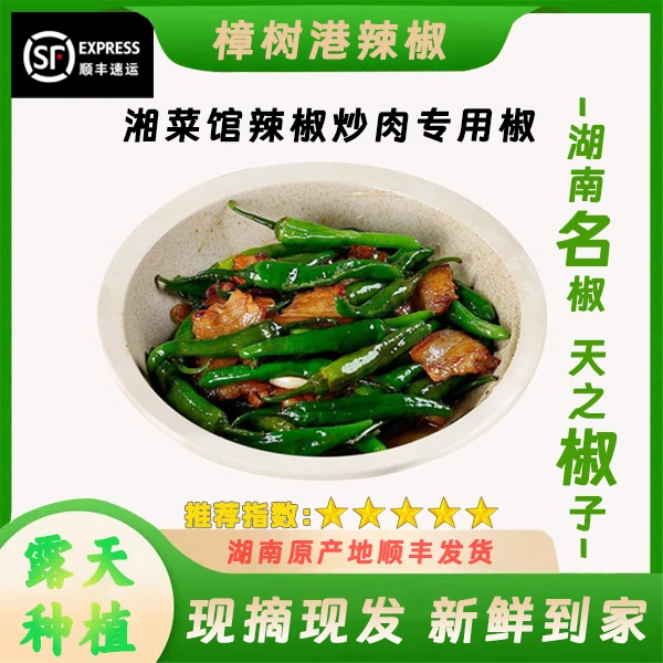 正宗湖南樟树港原种辣椒新鲜现摘皮清香爽嫩辣椒1-5斤装