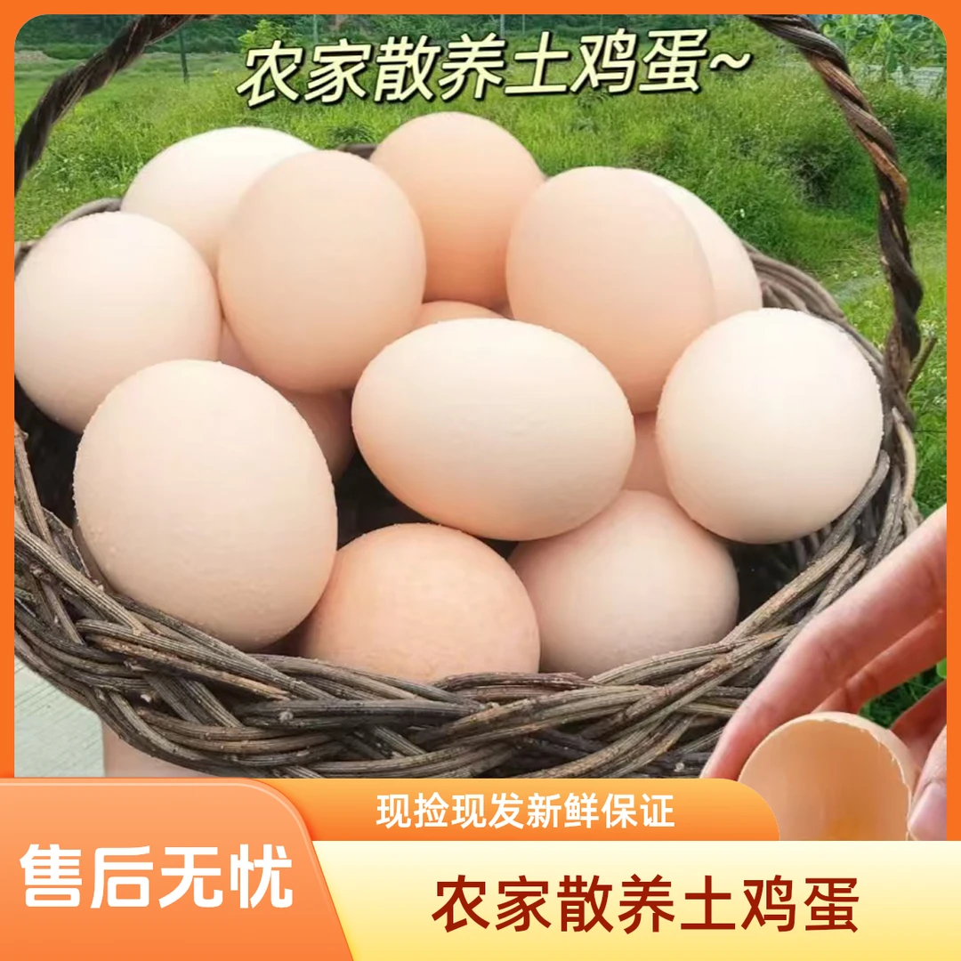 （京东顺丰送货上门）农家散养土鸡蛋生鲜专线40g-50g